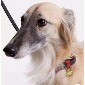 New Coach Signature Canvas Leather Im/Walnut/Bold Red Small Pet Collar NIB